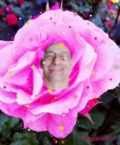 Artur, Mężczyzna, 52, Szczecin, Polska: 1