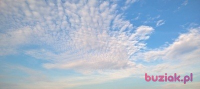 Włodek, Mężczyzna, 53, Warszawa, Polska, Zdjęcie: 4
