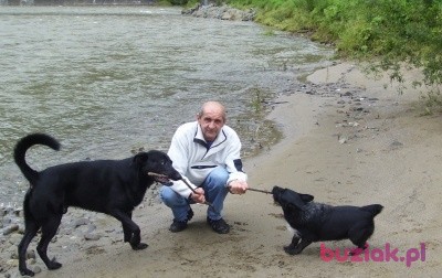 Jerzy, Mężczyzna, 65, Kraków, Polska, Zdjęcie: 1