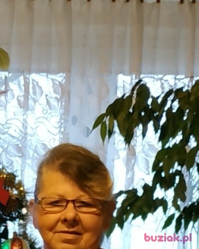 Teresa, Kobieta, 66, Błonie, Polska: 1