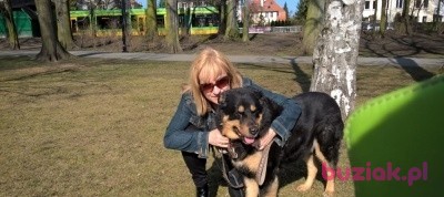 Izabela, Kobieta, 49, Poznań, Polska, Zdjęcie: 1