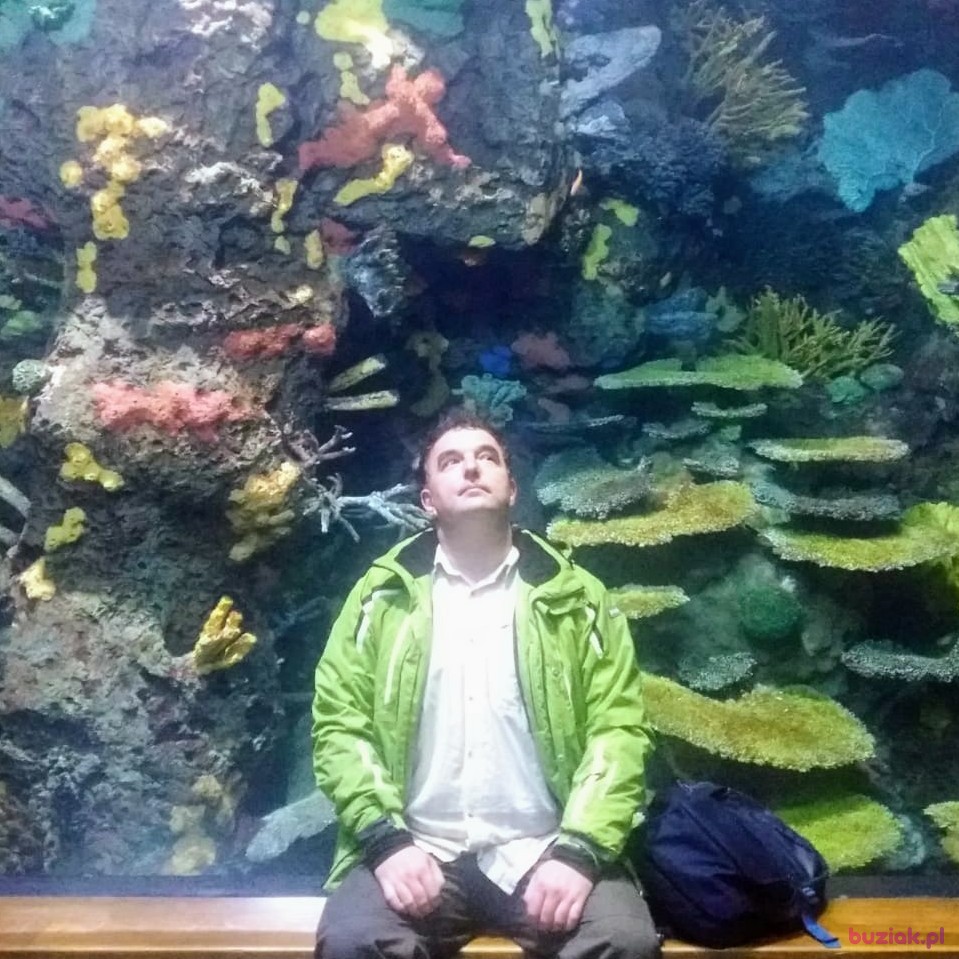 Grzegorz, Mężczyzna, 43, Bielsko-Biała, Polska: 1