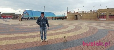 Jaras, Mężczyzna, 48, Bridgnorth, Wielka Brytania, Zdjęcie: 1
