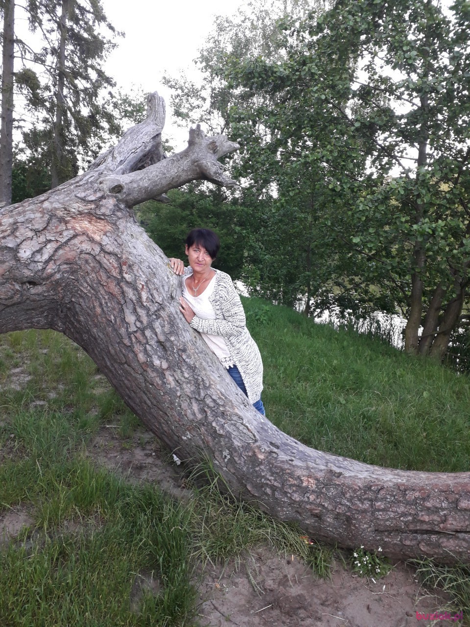 Iwona, Kobieta, 58, Skarszewy, Polska: 1