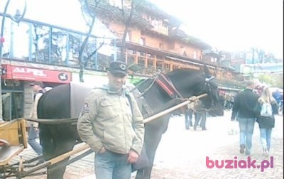 grześ, Male, 51, Częstochowa, Polska: 1