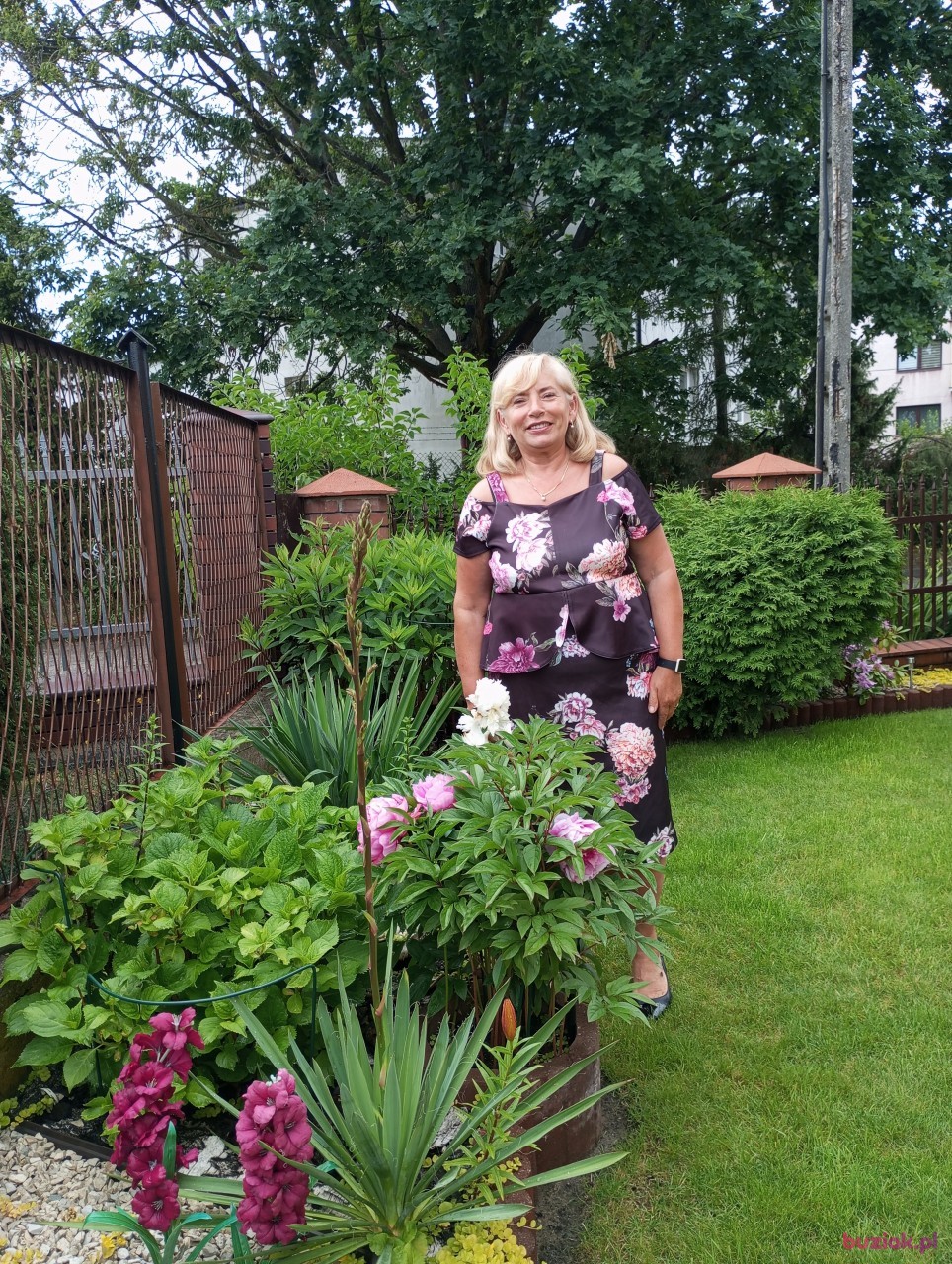renata, Female, 63, Pionki, Polska, Photo: 5