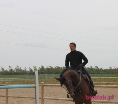 Jarek, Mężczyzna, 45, Sieraków, Polska, Zdjęcie: 1