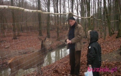 Mariusz, Mężczyzna, 59, Niemcy, Zdjęcie: 6