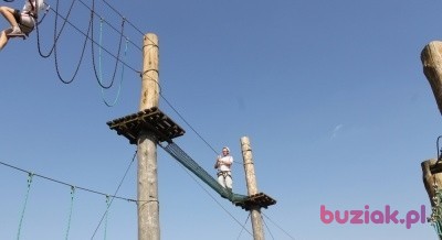 Tomasz , Mężczyzna, 50, Siedlce, Polska, Zdjęcie: 1