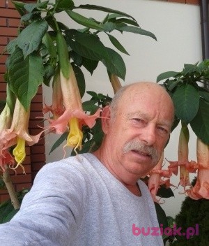Bogdan , Mężczyzna, 65, Gostynin, Polska, Zdjęcie: 3