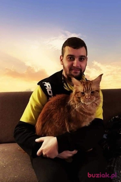 Kamil, Mężczyzna, 34, Rotterdam South Holland Province, Holandia: 1