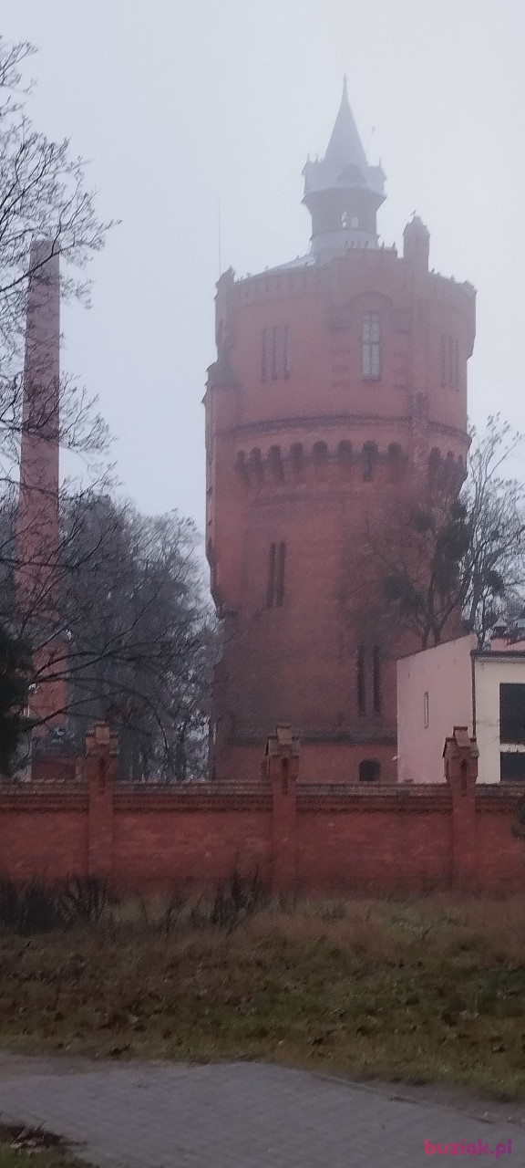 ryszard, Mężczyzna, 65, Lublin, Polska, Zdjęcie: 10