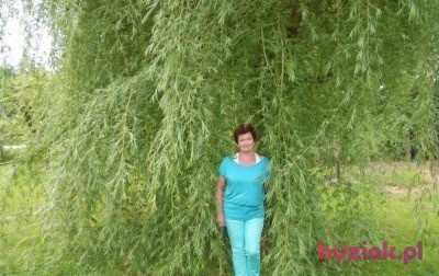 Patrycja, Female, 70, Racibórz, Polska, Photo: 2