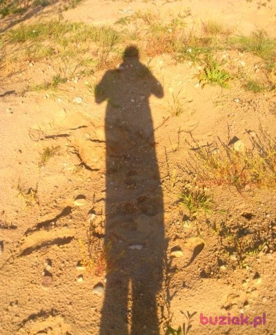Arek, Mężczyzna, 39, Morąg, Polska: 1