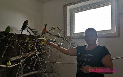 Kamilla, Female, 44, Grudziądz, Polska, Photo: 1
