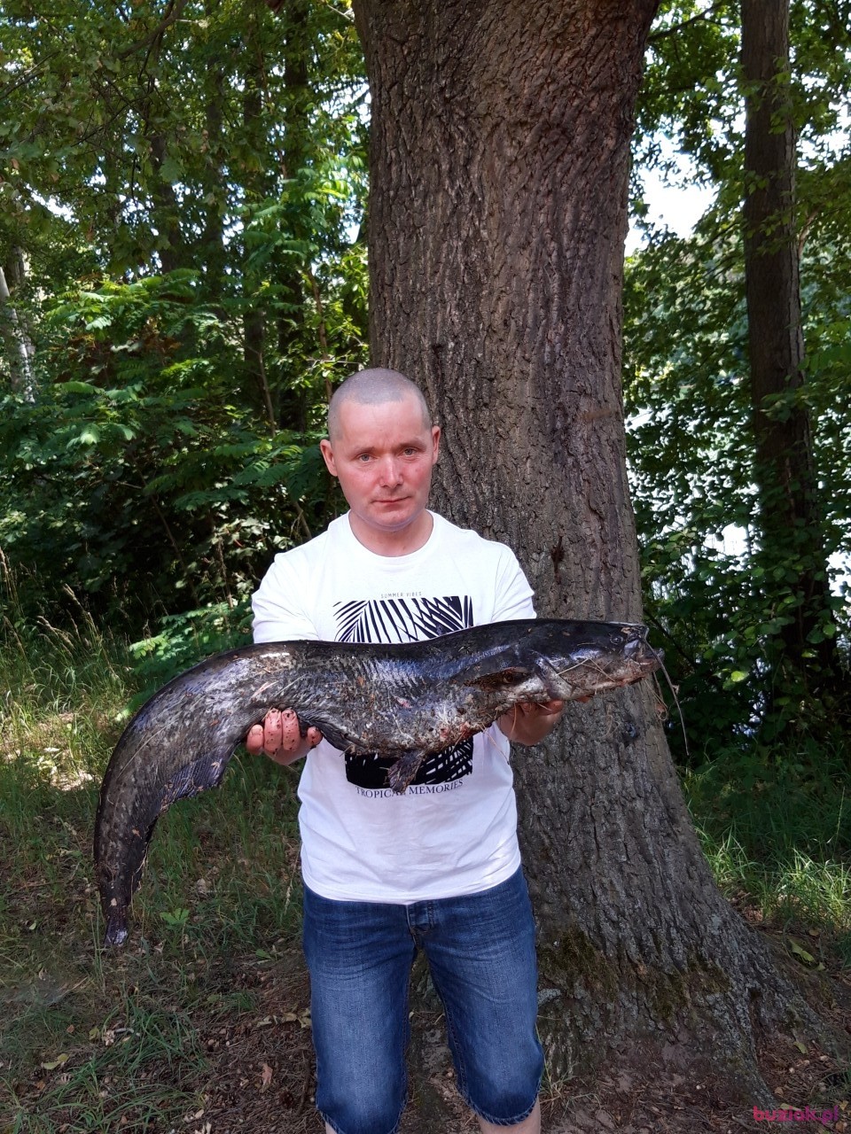 Piotrek, Male, 49, Krosno Odrzańskie, Polska: 1