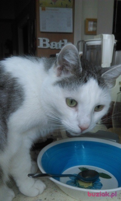 Ella, Female, 72, Łódź, Polska, Photo: 3