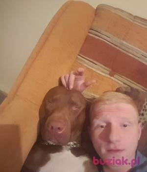 Sebastian, Mężczyzna, 31, Bielsko-Biała, Polska, Zdjęcie: 2