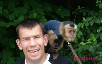 piotr, Mężczyzna, 41, Gdańsk, Polska: 1