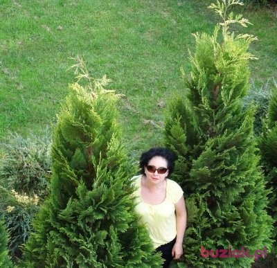 jolanta maria, Kobieta, 56, Myszków, Polska: 1