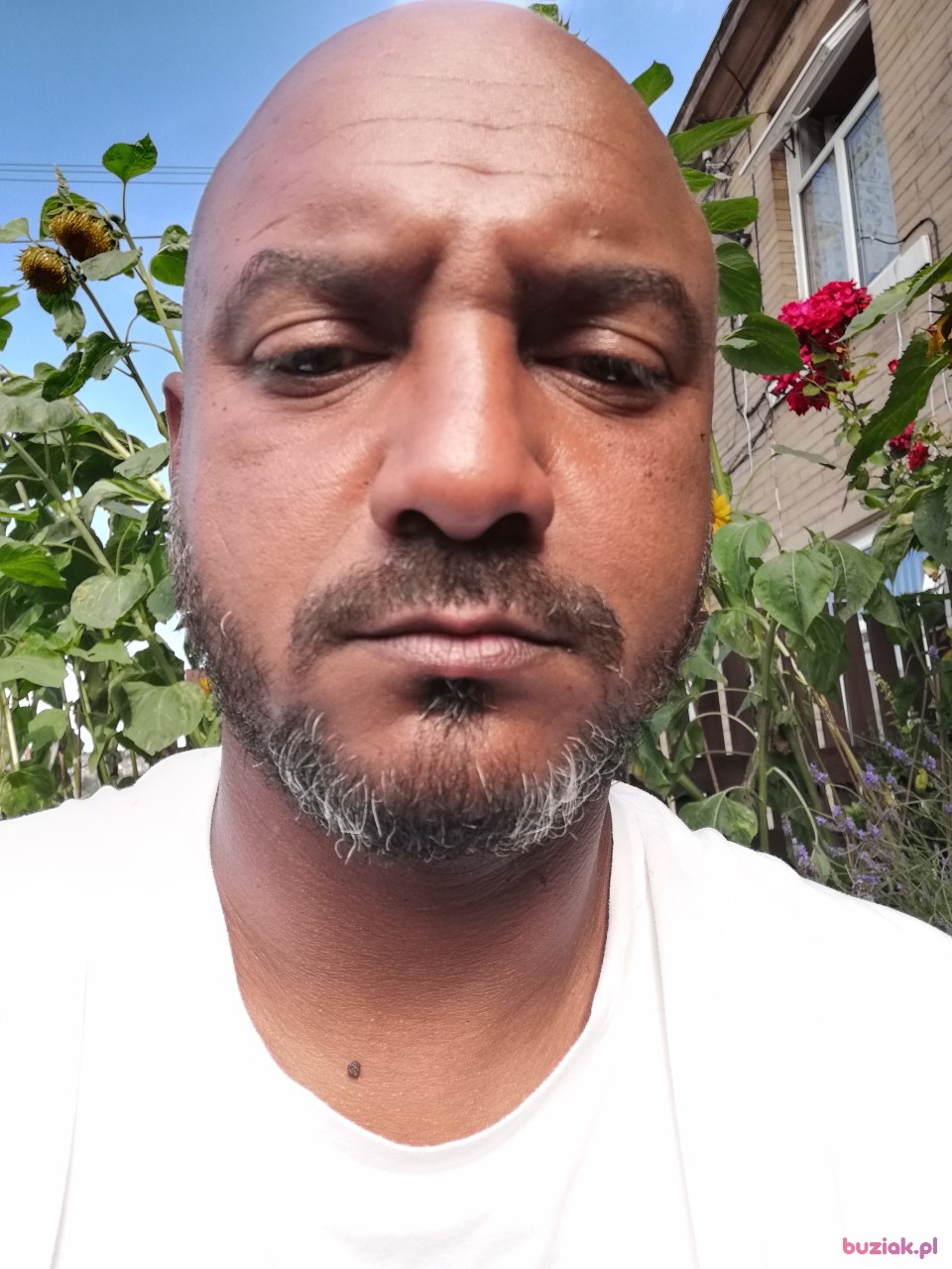 Damian, Mężczyzna, 47, Bradford, Wielka Brytania, Zdjęcie: 5
