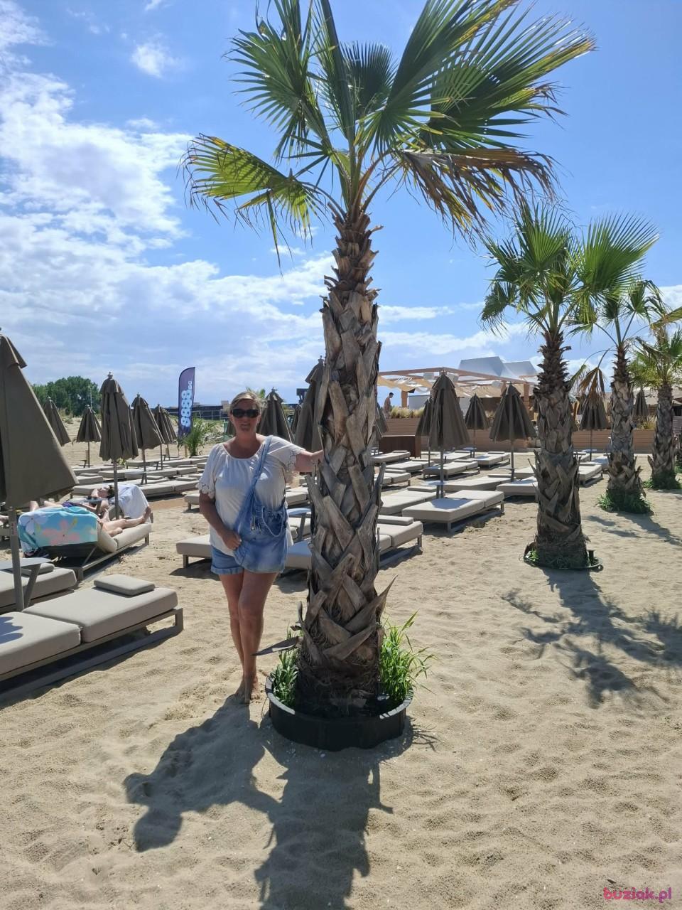 Sylwia, Female, 53, Dąbrowa Górnicza, Polska, Photo: 5