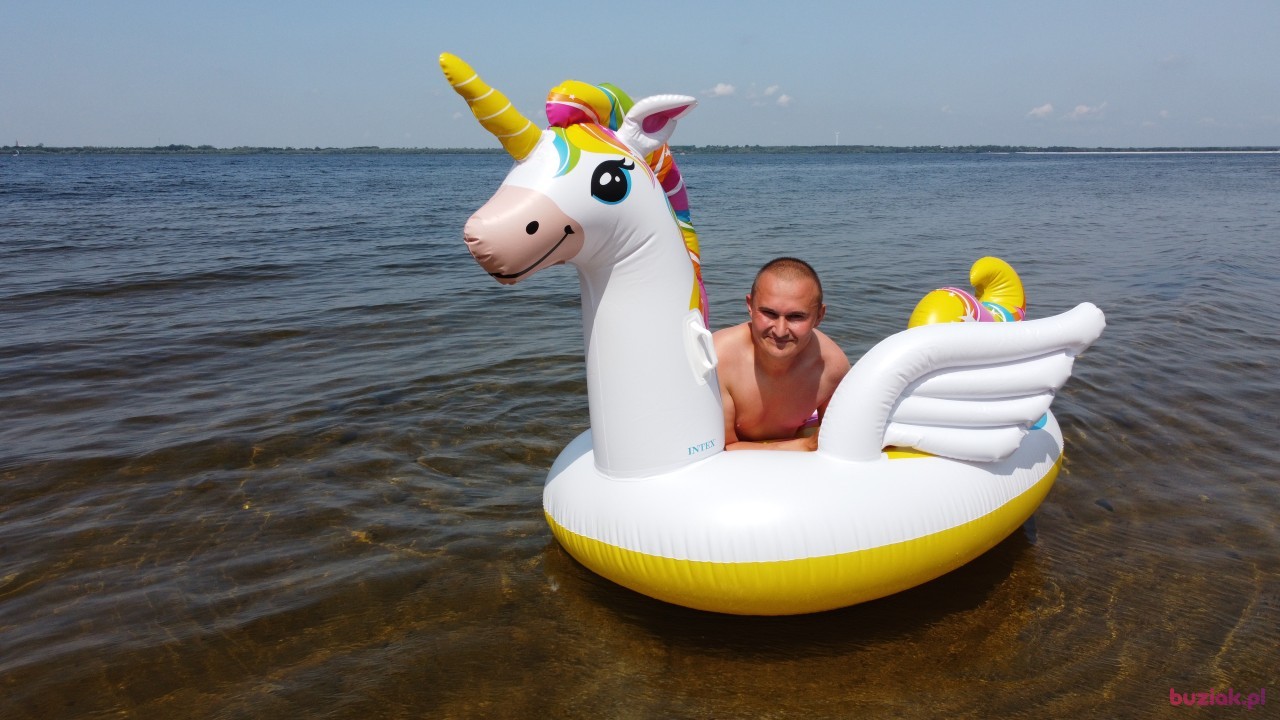 Michał, Mężczyzna, 36, Zgierz, Polska, Zdjęcie: 429