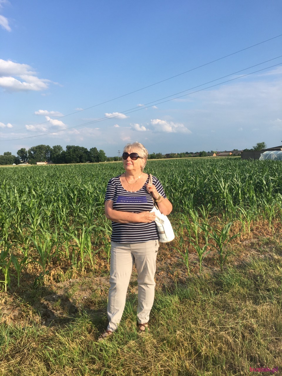 Małgorzata, Kobieta, 68, Sosnowiec, Polska, Zdjęcie: 3