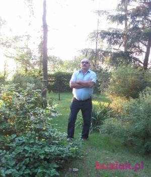 Wieslaw, Mężczyzna, 70, Tomaszów Mazowiecki, Polska, Zdjęcie: 2