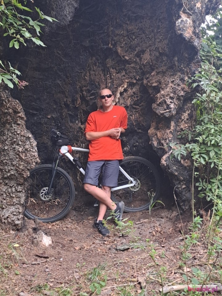 Mariusz, Mężczyzna, 35, Toruń, Polska, Zdjęcie: 1