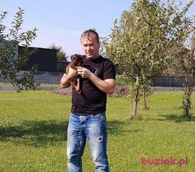 Ryszard, Mężczyzna, 59, Szczecin, Polska, Zdjęcie: 1