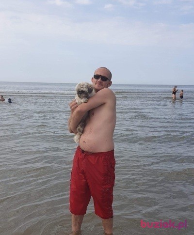 Przemek, Mężczyzna, 43, Lisse South Holland Province, Holandia, Zdjęcie: 10
