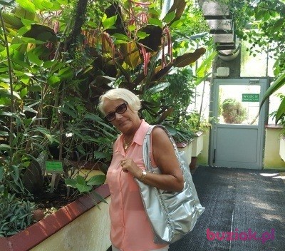 Maria, Kobieta, 75, Nowa Sól, Polska, Zdjęcie: 12