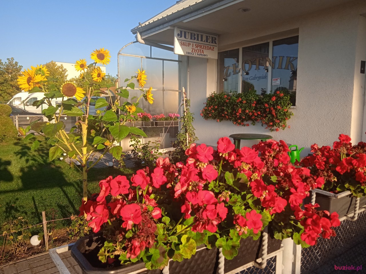 janek, Male, 66, Konin, Polska, Photo: 2