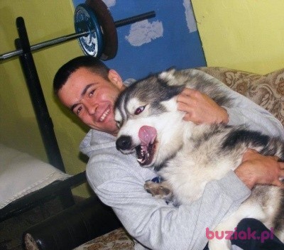 Maksymilian, Male, 36, Holandia: 1