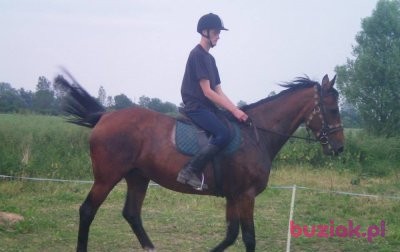Daniel, Male, 30, Pruszcz Gdański, Polska, Photo: 3