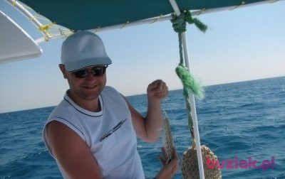 Tomek, Male, 55, Gdańsk, Polska: 1