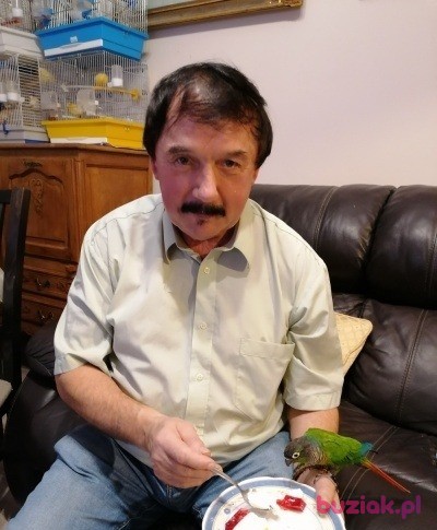 Zdzislaw, Mężczyzna, 68, Kraków, Polska, Zdjęcie: 4
