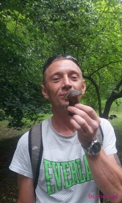mariowroc1, Male, 42, Wrocław, Polska, Photo: 3