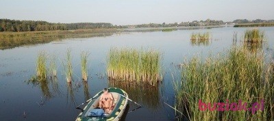 sam, Mężczyzna, 62, Wolbrom, Polska, Zdjęcie: 3