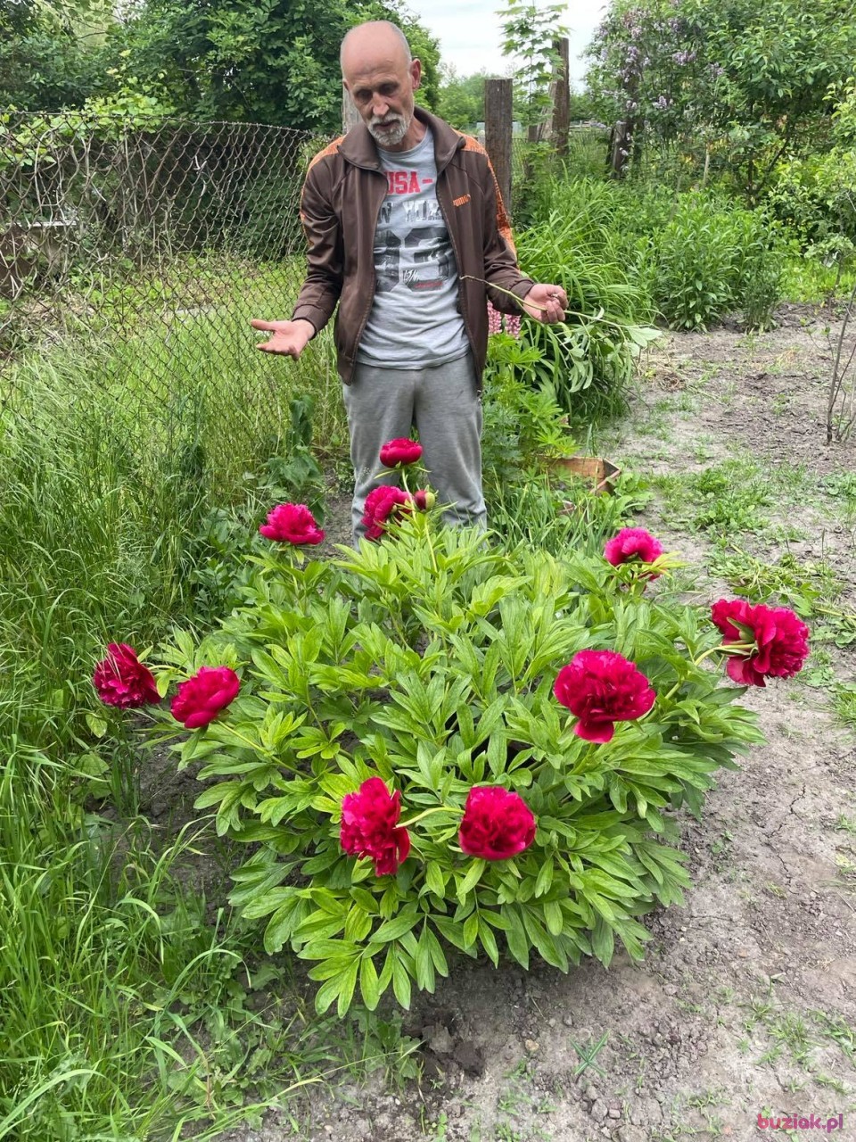 Janek, Male, 61, Głogów, Polska, Photo: 4