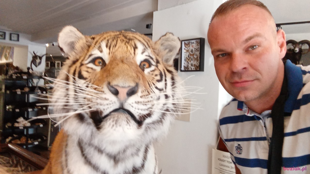 Robus, Mężczyzna, 38, Tilburg, Holandia, Zdjęcie: 3