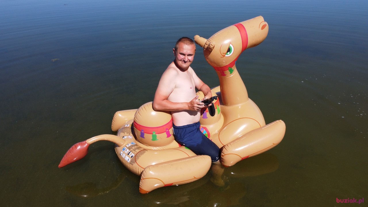 Michał, Mężczyzna, 36, Zgierz, Polska, Zdjęcie: 469