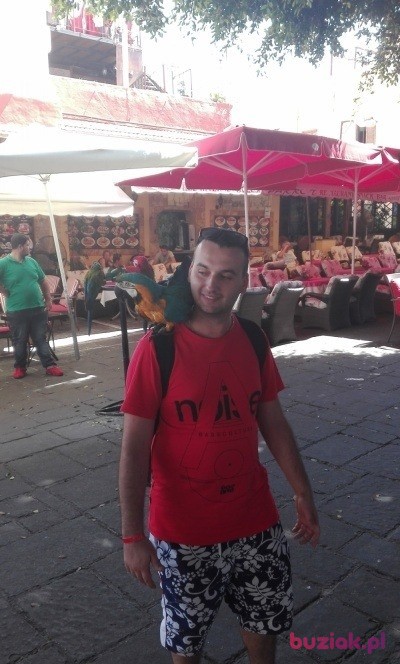 Michał, Mężczyzna, 30, Wrocław, Polska, Zdjęcie: 2