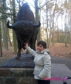 Edyta, Kobieta, 52, Łódź, Polska, Zdjęcie: 2