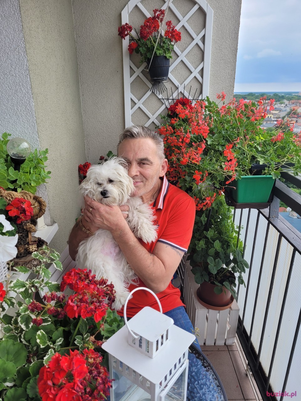 robert, Mężczyzna, 58, Poznań, Polska, Zdjęcie: 1