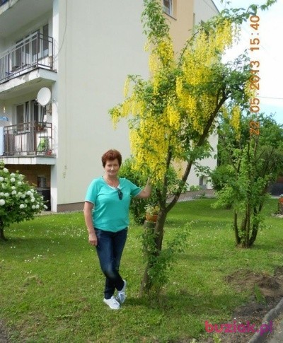 Patrycja, Female, 70, Racibórz, Polska, Photo: 1