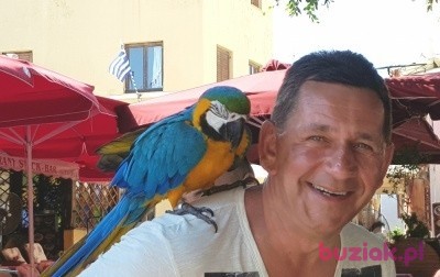 Jan, Male, 53, Wielka Brytania, Photo: 1