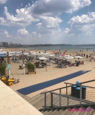 Michał , Mężczyzna, 34, Ostrów Wielkopolski, Polska, Zdjęcie: 3