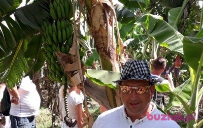 rafael81111, Mężczyzna, 43, Łódź, Polska, Zdjęcie: 4